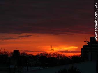 Winter sunrise. - Department of Montevideo - URUGUAY. Photo #3947