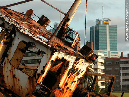  - Department of Montevideo - URUGUAY. Photo #3537