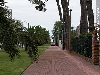  - Departamento de Montevideo - URUGUAY. Foto No. 966
