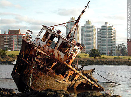  - Department of Montevideo - URUGUAY. Photo #3562