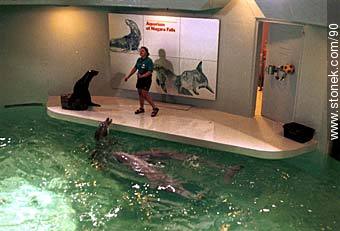 Aquarium in Niagara Falls. NY. -  - USA-CANADA. Photo #90