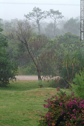 Lluvia en el balneario - Departamento de Maldonado - URUGUAY. Foto No. 14626