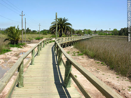 Pasaje peatonal en los bañados del río Santa Lucía - Departamento de Montevideo - URUGUAY. Foto No. 22983