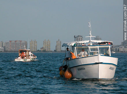 Boats transporting passangers between port and the island - Punta del Este and its near resorts - URUGUAY. Photo #247