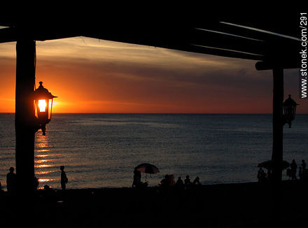  - Punta del Este and its near resorts - URUGUAY. Photo #291