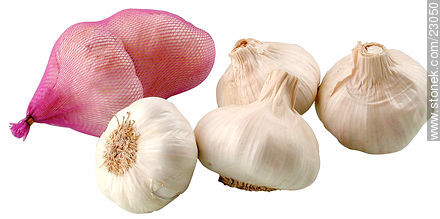 A clove of garlic -  - MORE IMAGES. Photo #23050