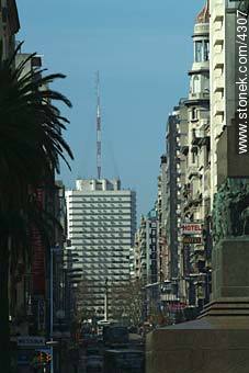  - Department of Montevideo - URUGUAY. Photo #4307