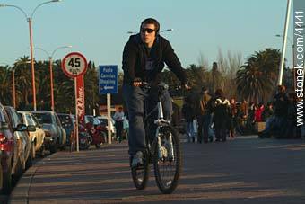 Ciclista en la rambla - Departamento de Montevideo - URUGUAY. Foto No. 4441