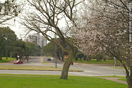  - Departamento de Montevideo - URUGUAY. Foto No. 4804