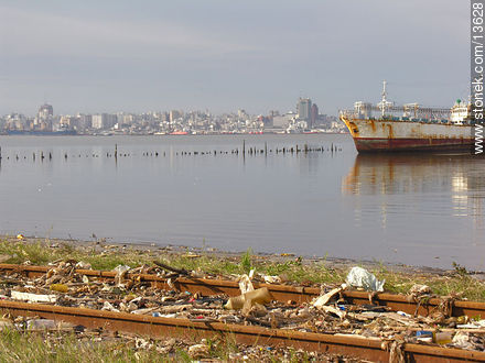 Residuos en las zonas alejadas del puerto - Departamento de Montevideo - URUGUAY. Foto No. 13628