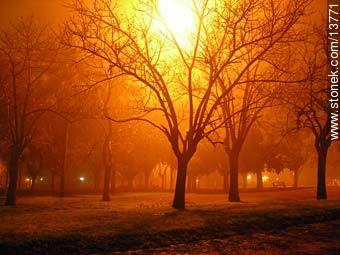 Parque en noche de niebla - Departamento de Montevideo - URUGUAY. Foto No. 13771