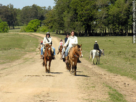 Horse back riding - Department of Florida - URUGUAY. Photo #24005