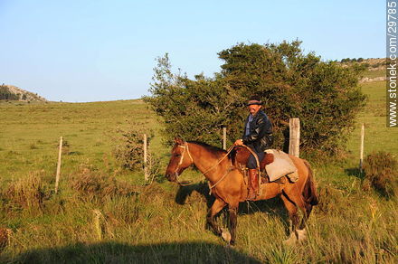 Horseman - Lavalleja - URUGUAY. Foto No. 29785