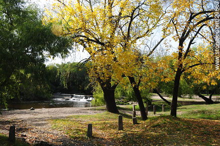 Parque - Departamento de Colonia - URUGUAY. Foto No. 29667