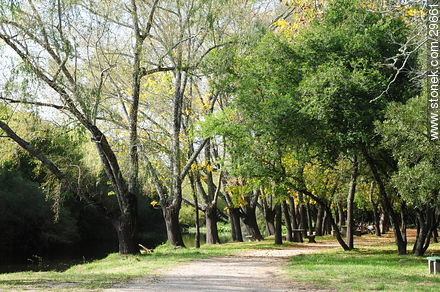 Parque - Departamento de Colonia - URUGUAY. Foto No. 29661