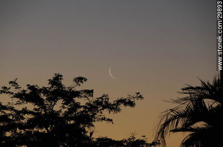 Luna nueva en Rocha -  - URUGUAY. Foto No. 29893