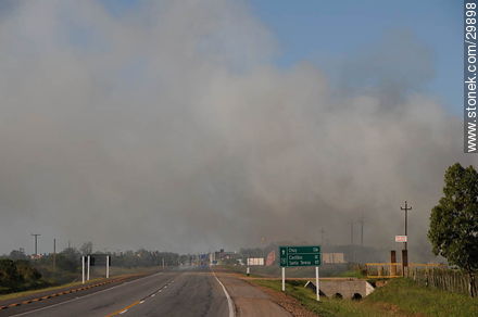 Cloud of smoke in route 9 - Department of Rocha - URUGUAY. Photo #29898