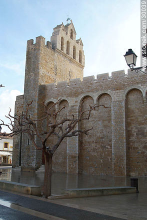 Iglesia de Saintes Maries de la Mer - Región Provenza-Alpes-Costa Azul - FRANCIA. Foto No. 30039