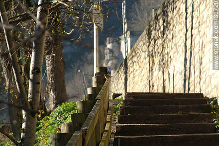 Rocamadour entre los árboles de invierno - Región de Midi-Pyrénées - FRANCIA. Foto No. 30720