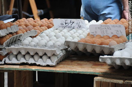 Feria de Tristán Narvaja. Huevos blancos y colorados. - Departamento de Montevideo - URUGUAY. Foto No. 31064