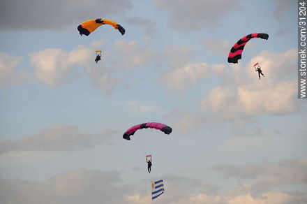 6 de enero de 2009. Exhibición de paracaidismo. - Departamento de Montevideo - URUGUAY. Foto No. 31204