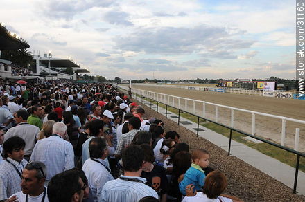 6 de enero de 2009.  - Departamento de Montevideo - URUGUAY. Foto No. 31160