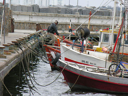 Fishermen boats - Punta del Este and its near resorts - URUGUAY. Photo #31334