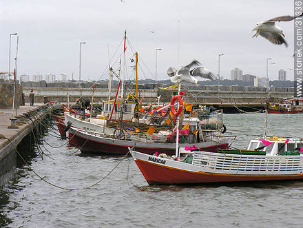 Muelle de pescadores del puerto de Punta del Este - Punta del Este y balnearios cercanos - URUGUAY. Foto No. 31336