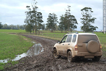Muddy van -  - URUGUAY. Foto No. 31359