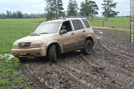 Muddy van -  - URUGUAY. Photo #31360