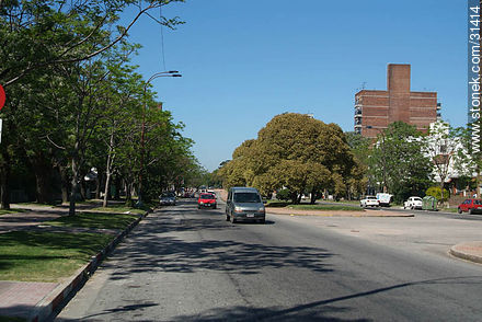 Centenario Avenue. - Department of Montevideo - URUGUAY. Foto No. 31414