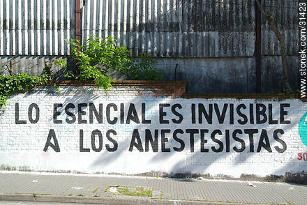  - Department of Montevideo - URUGUAY. Foto No. 31423