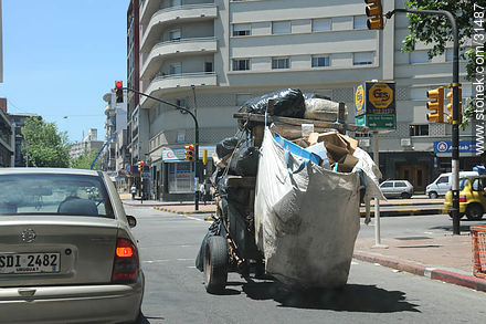 Galicia st. - Department of Montevideo - URUGUAY. Photo #31487