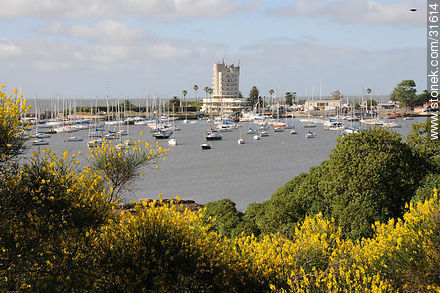 Puerto del Buceo - Departamento de Montevideo - URUGUAY. Foto No. 31614