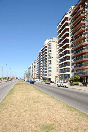 Cantero central de la Rambla de Punta Carretas - Departamento de Montevideo - URUGUAY. Foto No. 31541