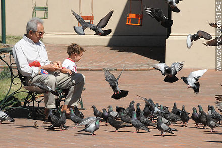 Abuelo, su nieto y palomas en vuelo. - Departamento de Montevideo - URUGUAY. Foto No. 31549