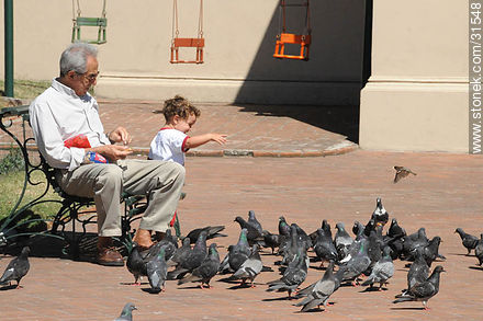 Abuelo, su nieto y palomas en vuelo. - Departamento de Montevideo - URUGUAY. Foto No. 31548