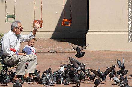 Abuelo, su nieto y palomas en vuelo. - Departamento de Montevideo - URUGUAY. Foto No. 31547