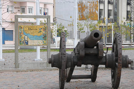 Ways of Darwin - Department of Montevideo - URUGUAY. Photo #31566