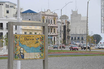 Ways of Darwin. - Department of Montevideo - URUGUAY. Photo #31562