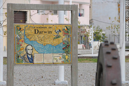 Los caminos de Darwin en la plaza de Las Bóvedas - Departamento de Montevideo - URUGUAY. Foto No. 31563