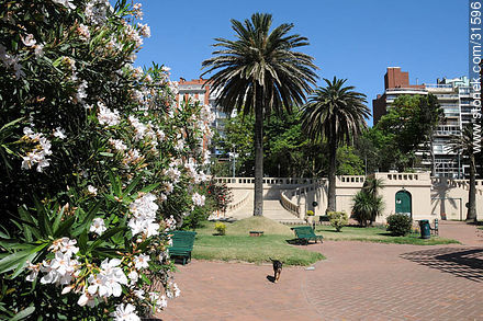 Plaza Gomensoro. - Departamento de Montevideo - URUGUAY. Foto No. 31596