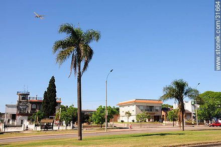 Cantero central de Av. Italia. - Departamento de Montevideo - URUGUAY. Foto No. 31664