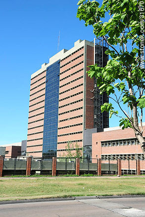 Faculty of Sciences of Montevideo - Department of Montevideo - URUGUAY. Foto No. 31670