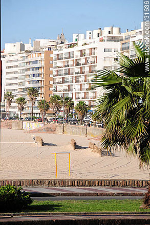 Playa Pocitos - Departamento de Montevideo - URUGUAY. Foto No. 31636