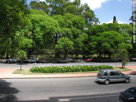 Artigas Boulevard in front of the Golf Club - Department of Montevideo - URUGUAY. Photo #31651