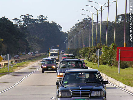 Avenue of americas - Department of Canelones - URUGUAY. Photo #31618