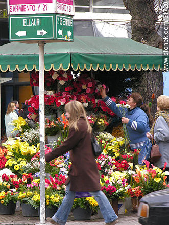 Florista vendiendo claveles - Departamento de Montevideo - URUGUAY. Foto No. 31720