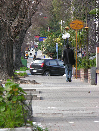Bulevar España (Spain Blvd.) - Department of Montevideo - URUGUAY. Photo #31934
