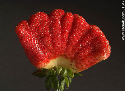 Strawberry - Flora - MORE IMAGES. Foto No. 31647